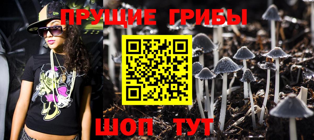 Галлюциногенные грибы прущие грибы  Вход с VPN  Добрянка  Галлюциногенные грибы Psilocybine cubensis 
